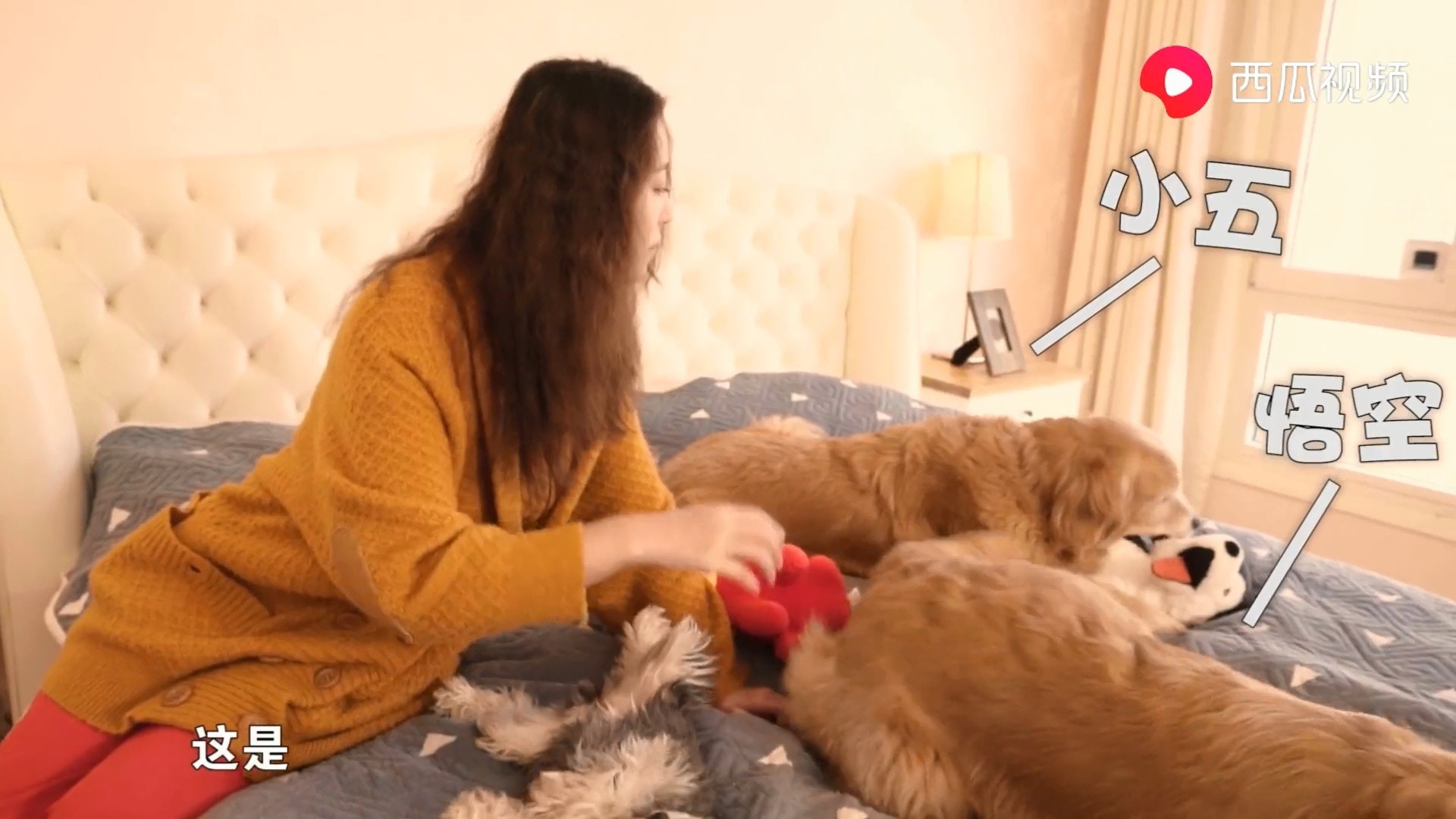 周海媚安排了一間約200呎起居室給他們睡覺,房間內不但有雙人大床,更有採光明亮通風的門窗。