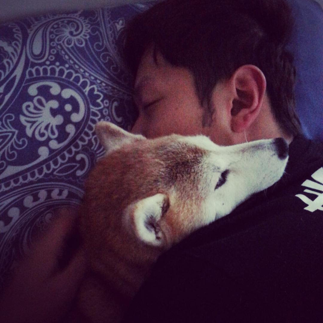 鈞賢指愛犬見證了他15年高高低低的人生