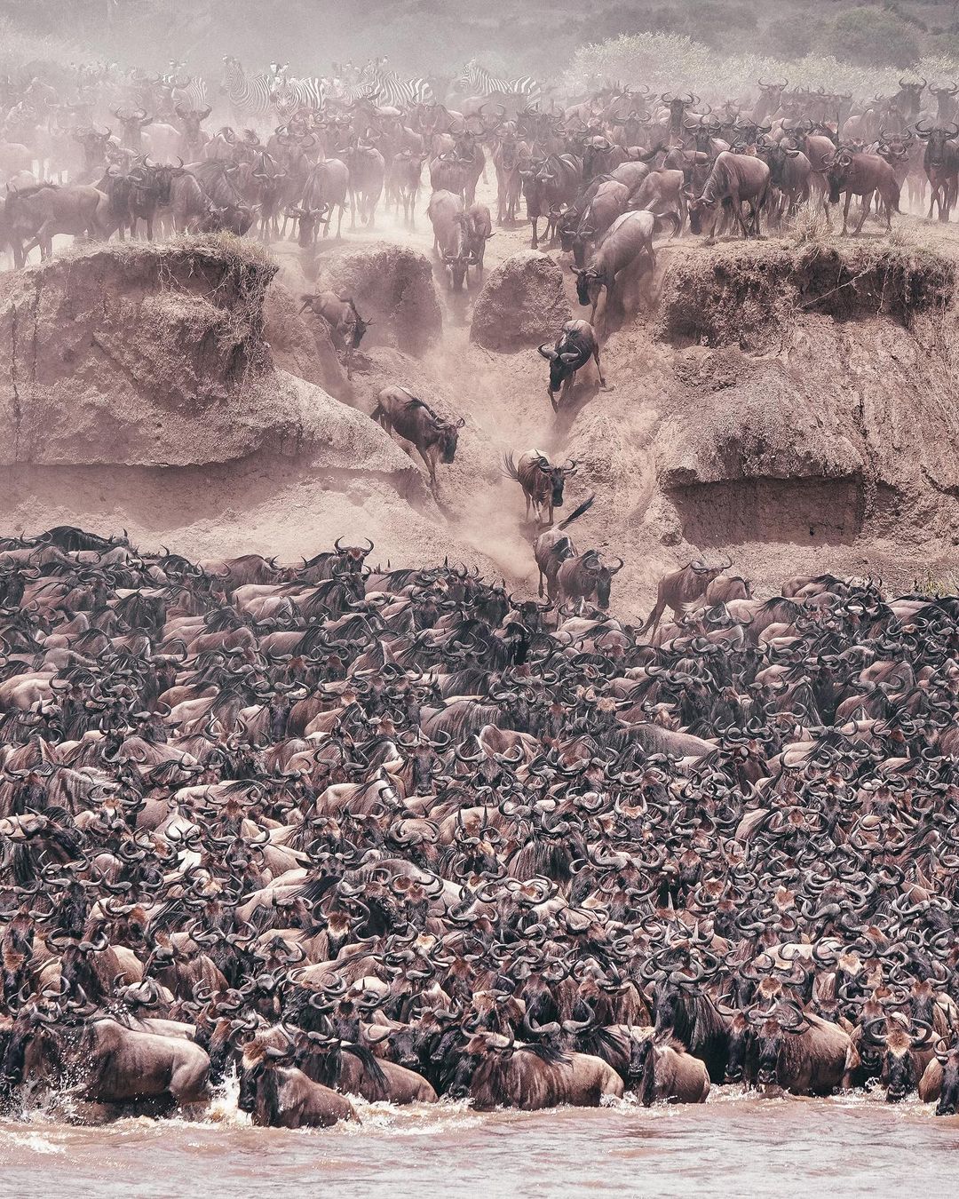 親眼目睹被譽為世界十大奇景之一的動物大遷徙