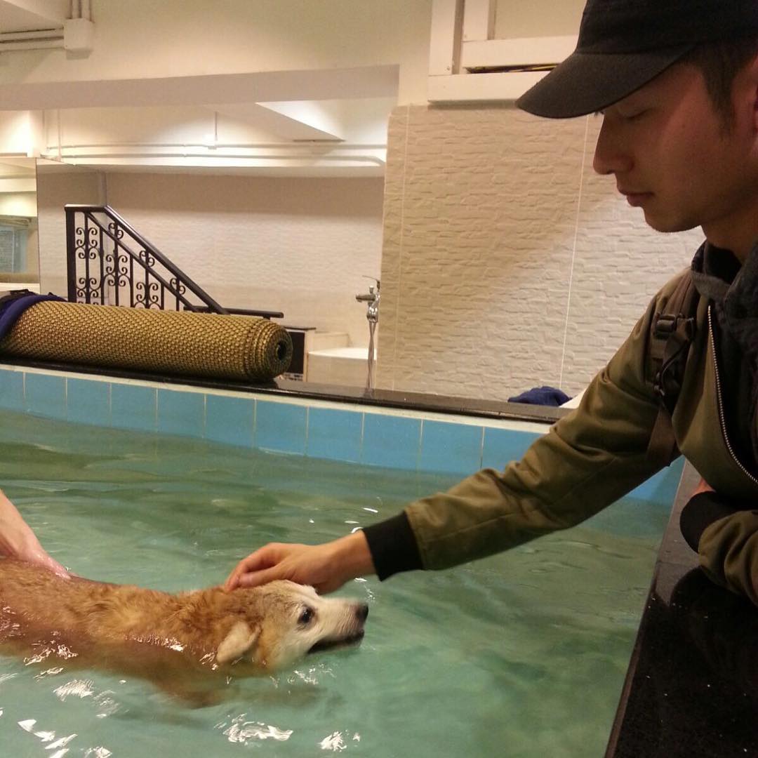 未能趕及送牠最後一程