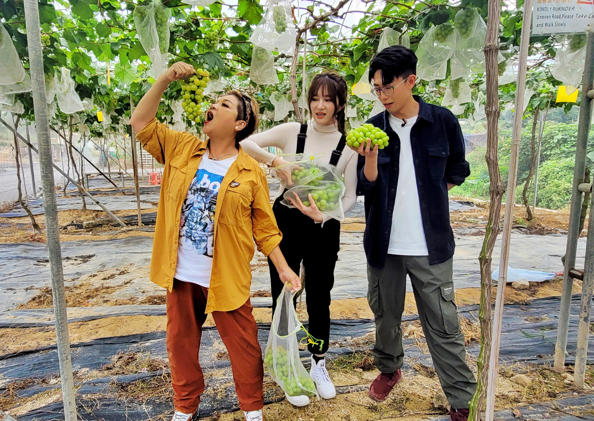 肥媽在巨大菜園種植接近二十種植物。民居家煮嘢食》獻出自家後花園的巨大菜園。