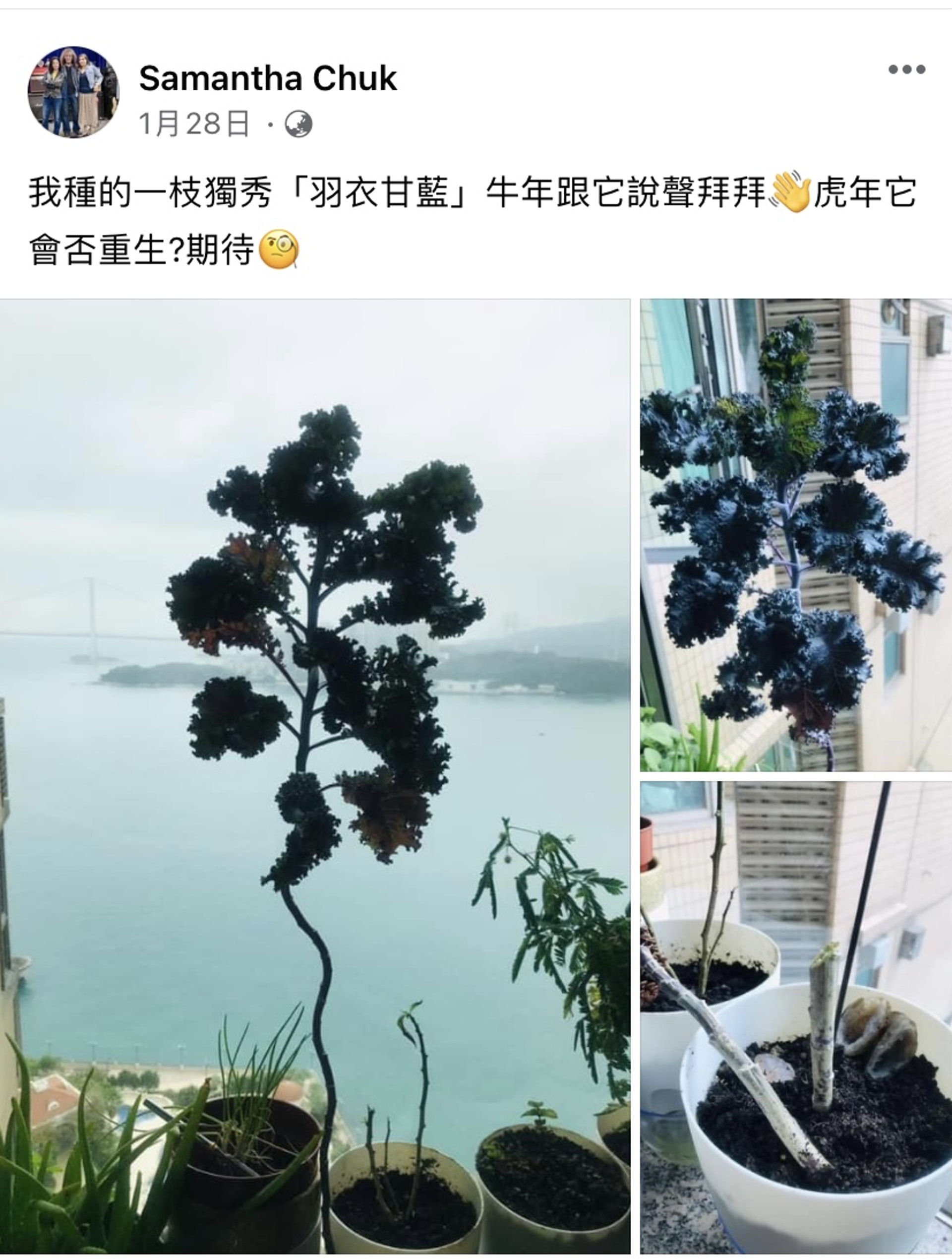 祝文君生前最後一次更新社交平台。