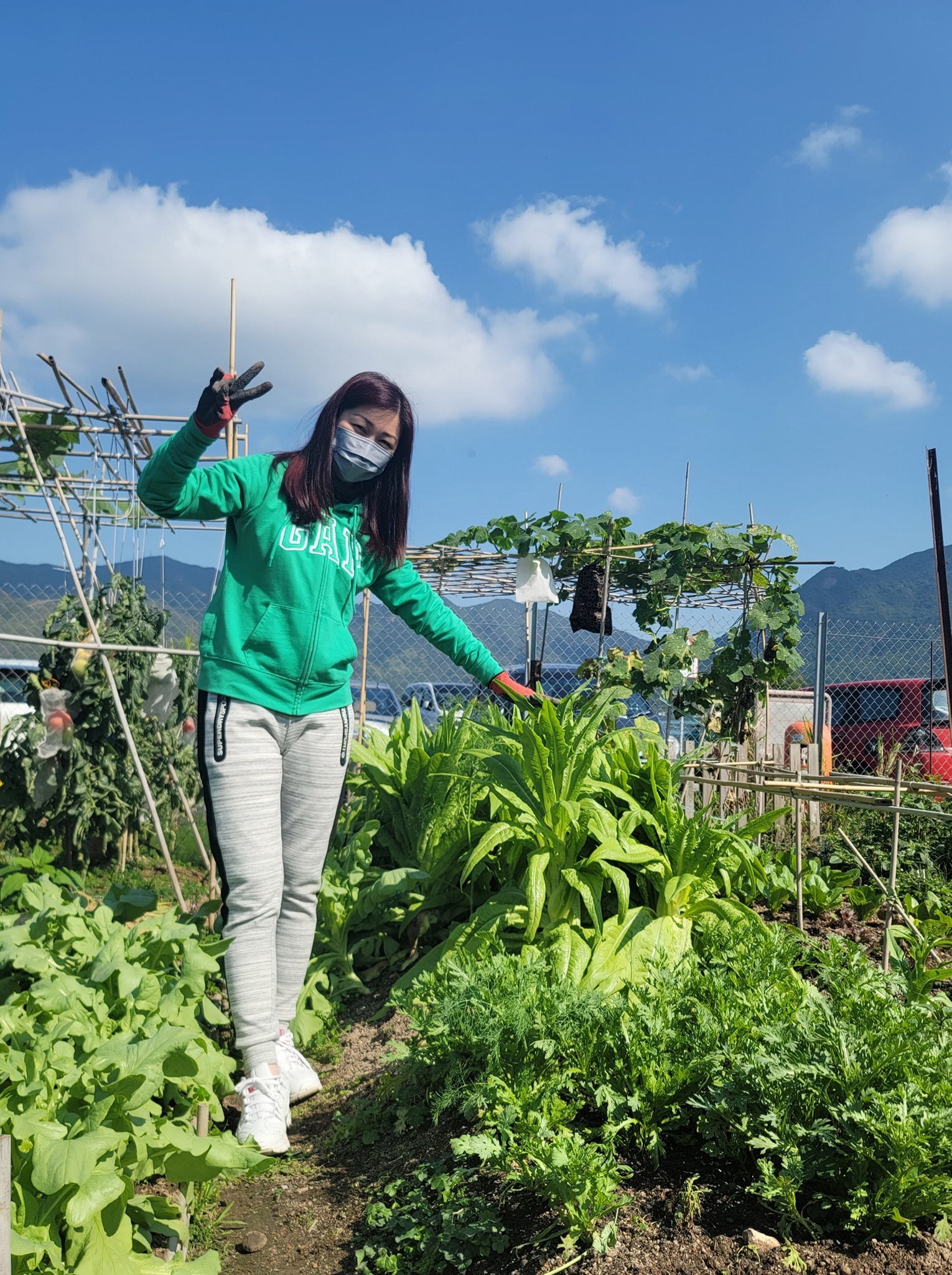 陳琪親自打理家中花園,更教仔女自給自足。