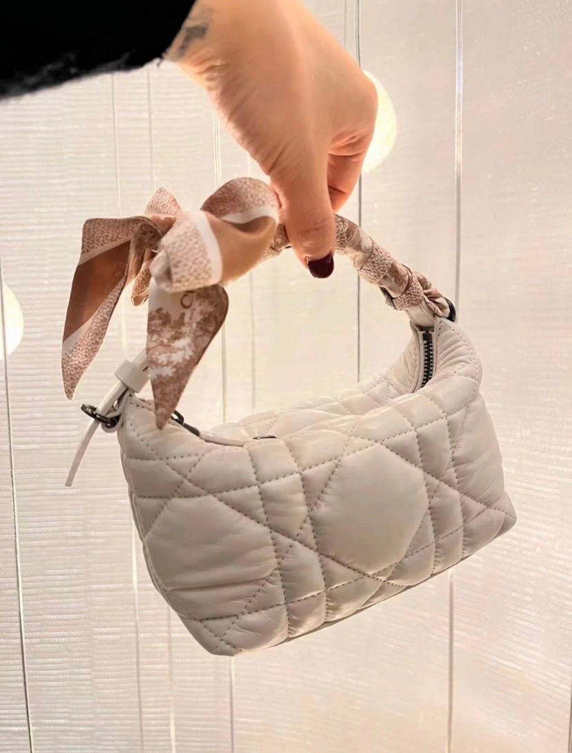 Dior 新款飯盒包