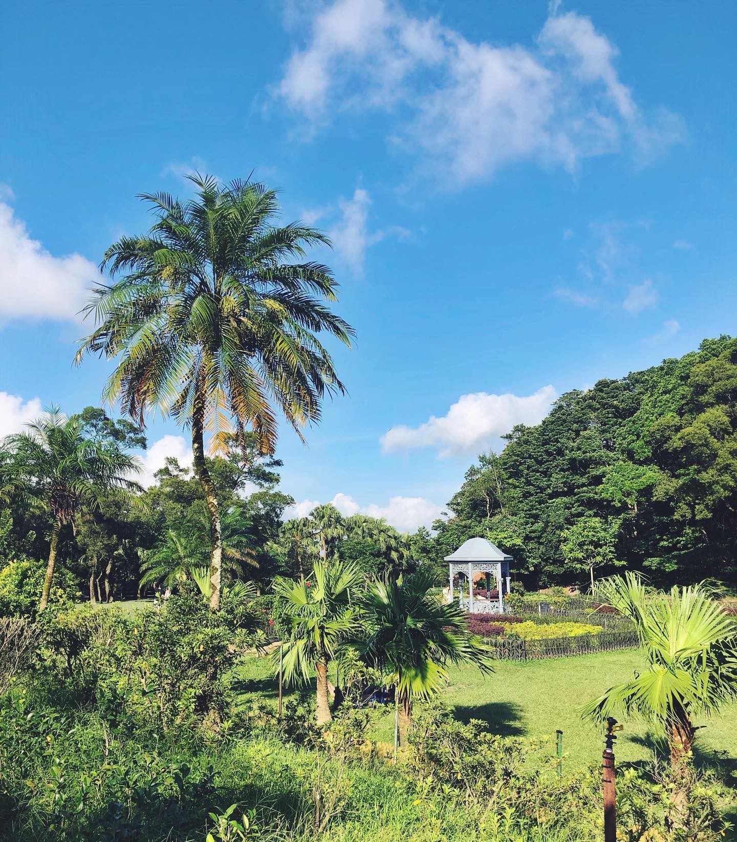 太平山山頂公園是以前港督別墅的後花園,擁有古色古香的維多利亞式風格建築,吸引不少情侶前來朝聖打卡。