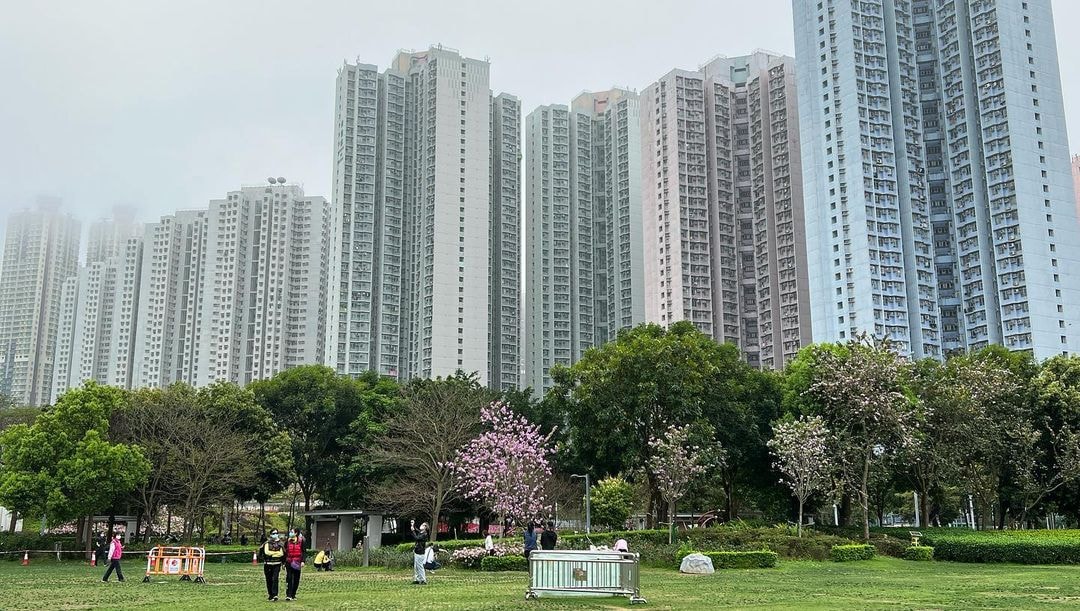 將軍澳單車公園是將軍澳居民的必去的野餐勝地