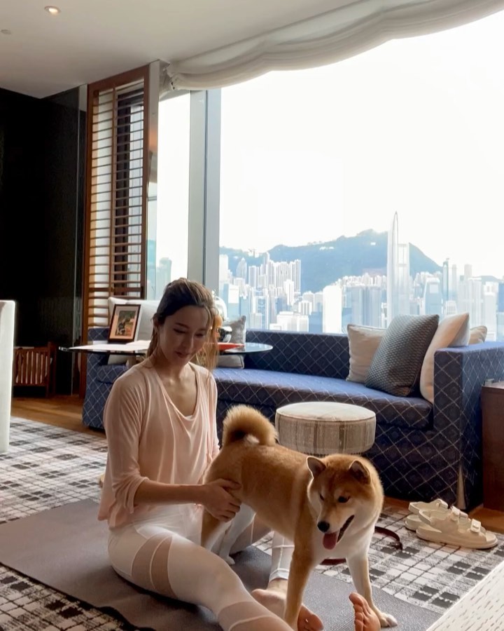 邊做運動邊望窗外的美景，十分寫意！