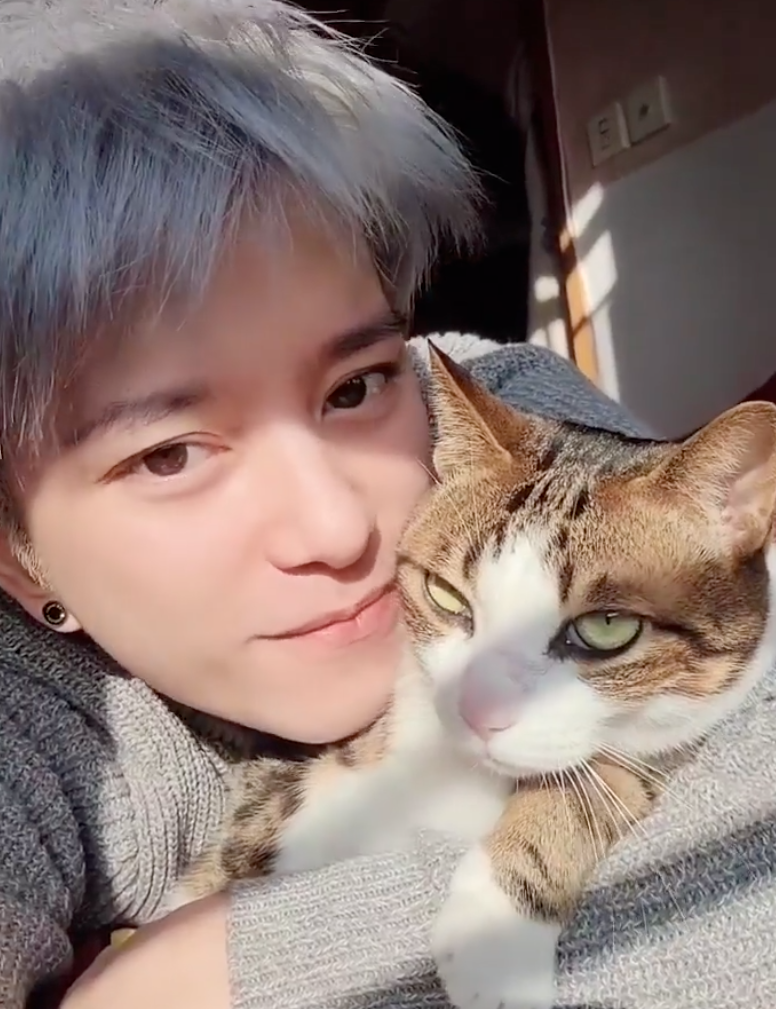 張彥博是一位貓奴。