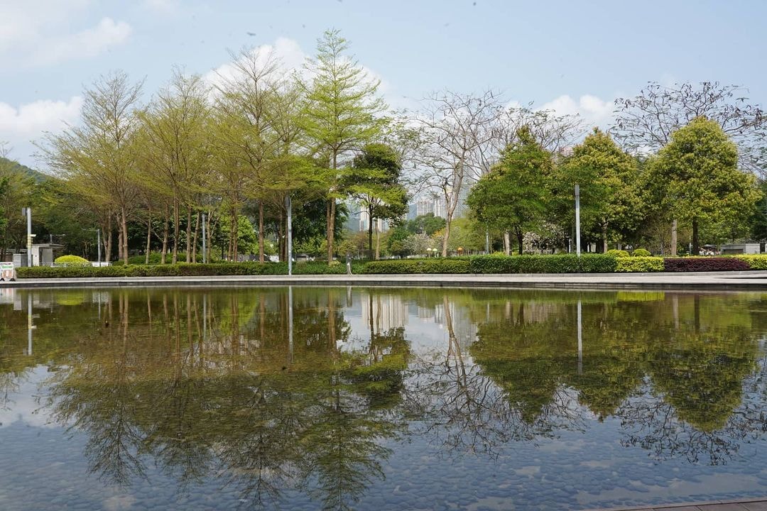 公園內亦蘊藏了一個可以拍到「天空之鏡」照片的人工湖