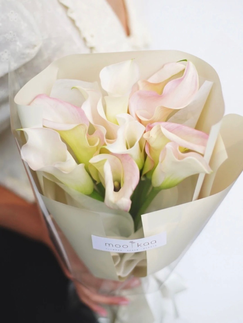 馬蹄蘭象徵壯麗和優雅,也有純潔和高貴意思