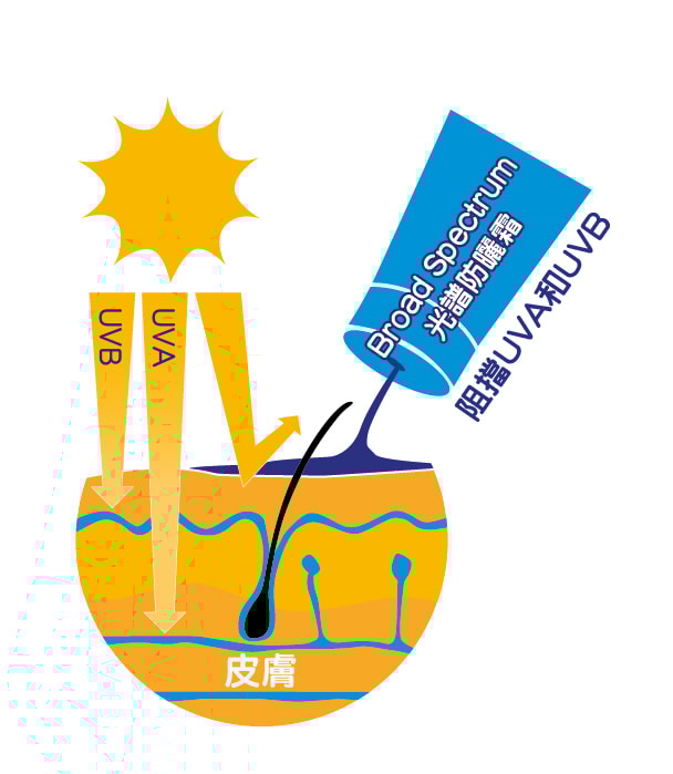 「Broad Spectrum光譜防曬效能」認證,是少有防曬產品擁有的權威認證。
