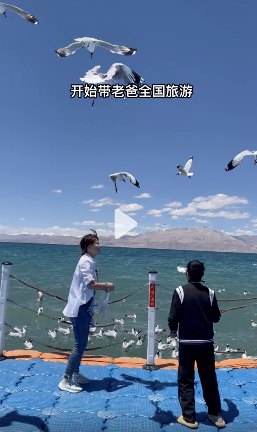 張白鴿開始帶父親張雙奇全國旅行