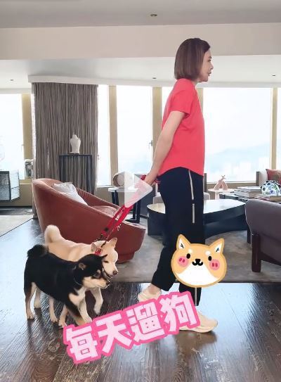 關之琳分享在家遛狗的影片被批離地。