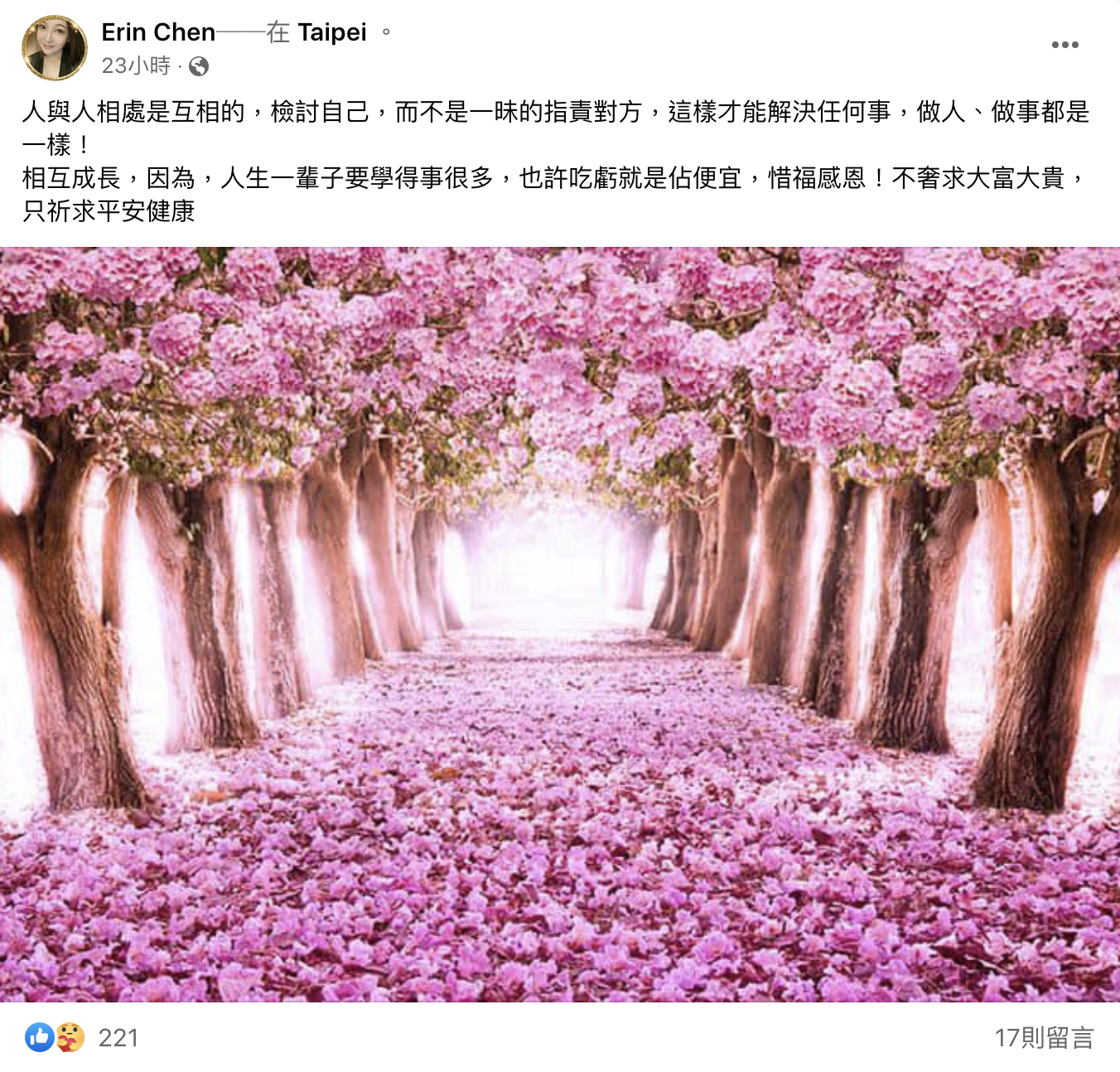 陳貞均（Erin）有感而發