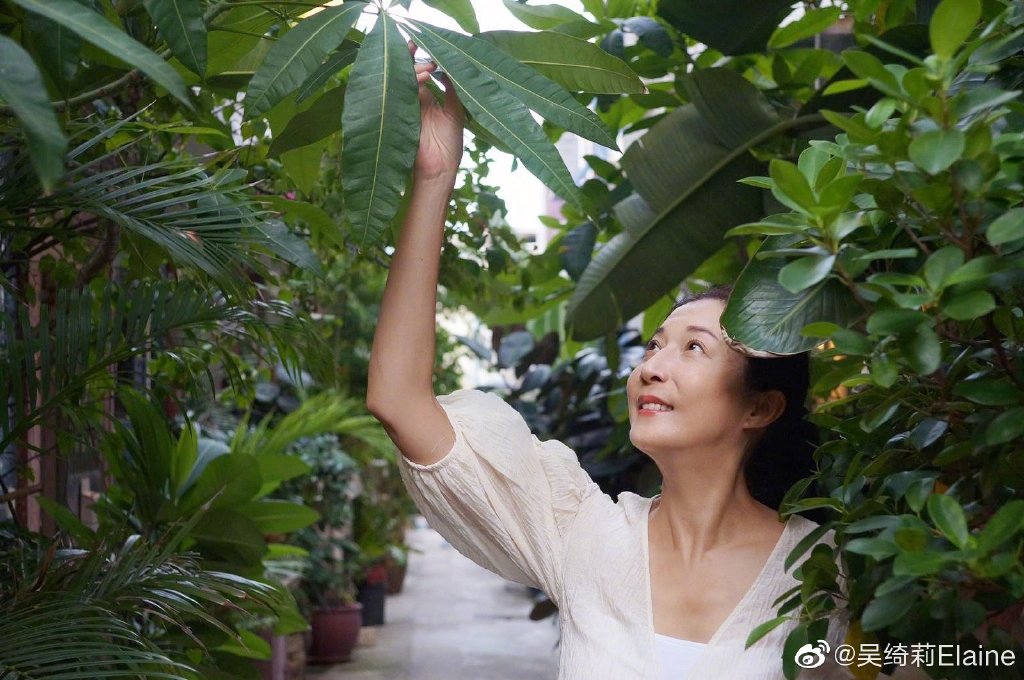 吳綺莉上個月在社交平台上出post不點名砲轟成龍:「希望某巨星不要貶低我和孩子來做宣傳。」