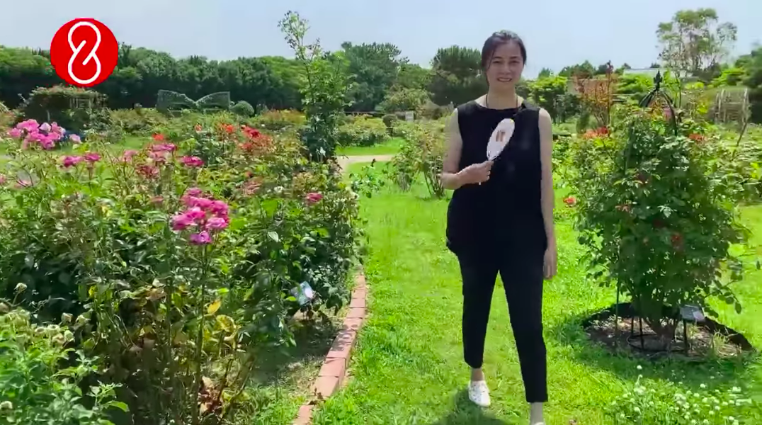 公園踏青身形圓潤有福相