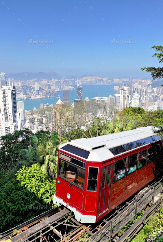 帶爸爸去旅遊