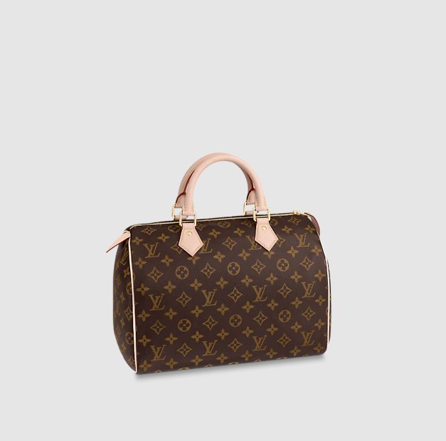 Louis Vuitton Speedy 30 HK$12,500