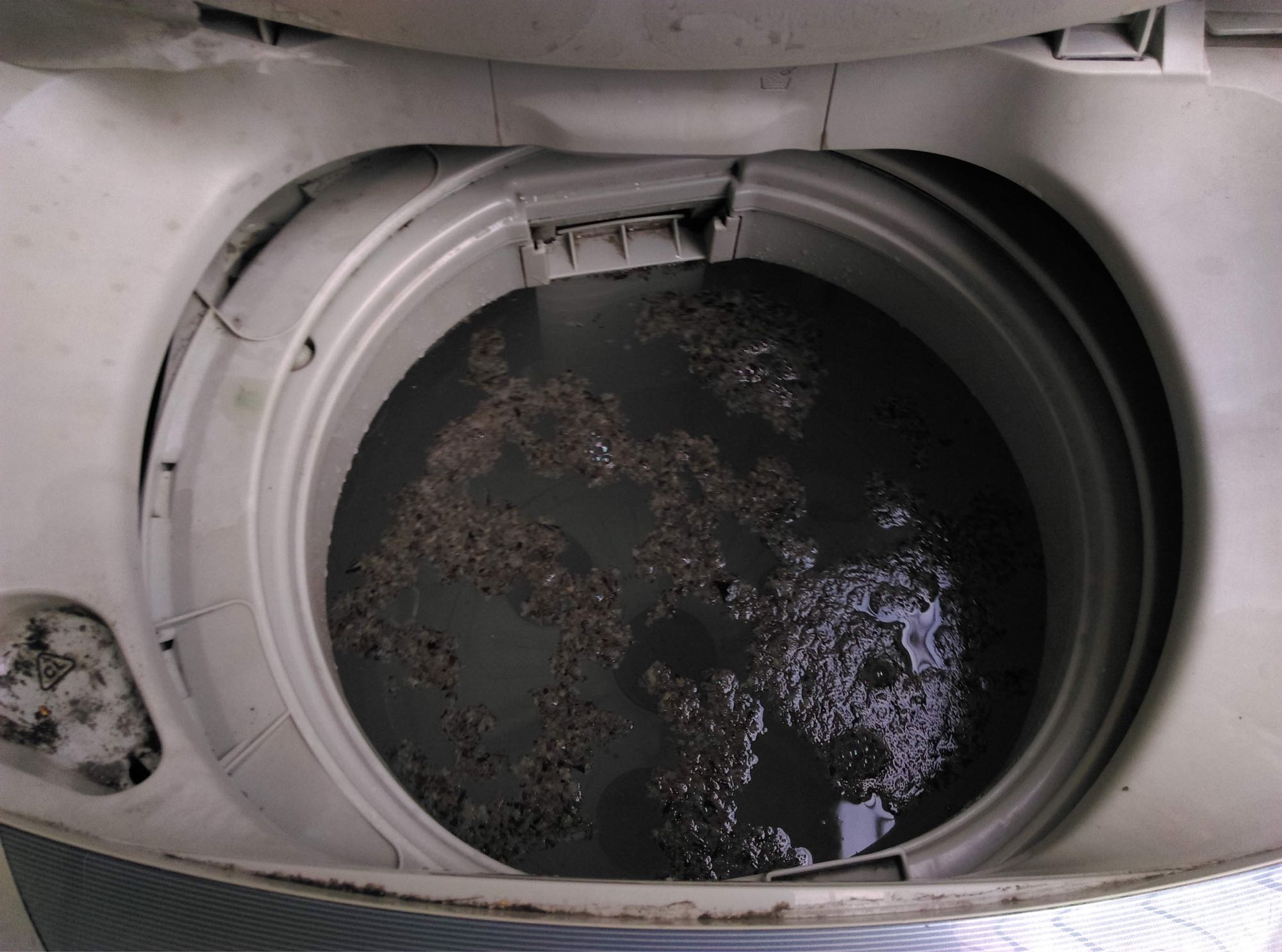 外國微生物學教授指出，洗衣水含超過1億個大腸桿菌藏在洗衣水內，這些細菌可以傳播到下一堆衣物。