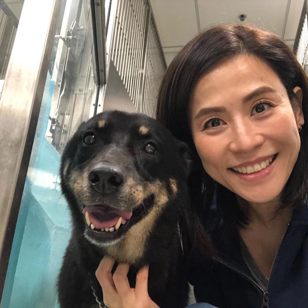 宣萱近年開始減產過著養尊處優的生活