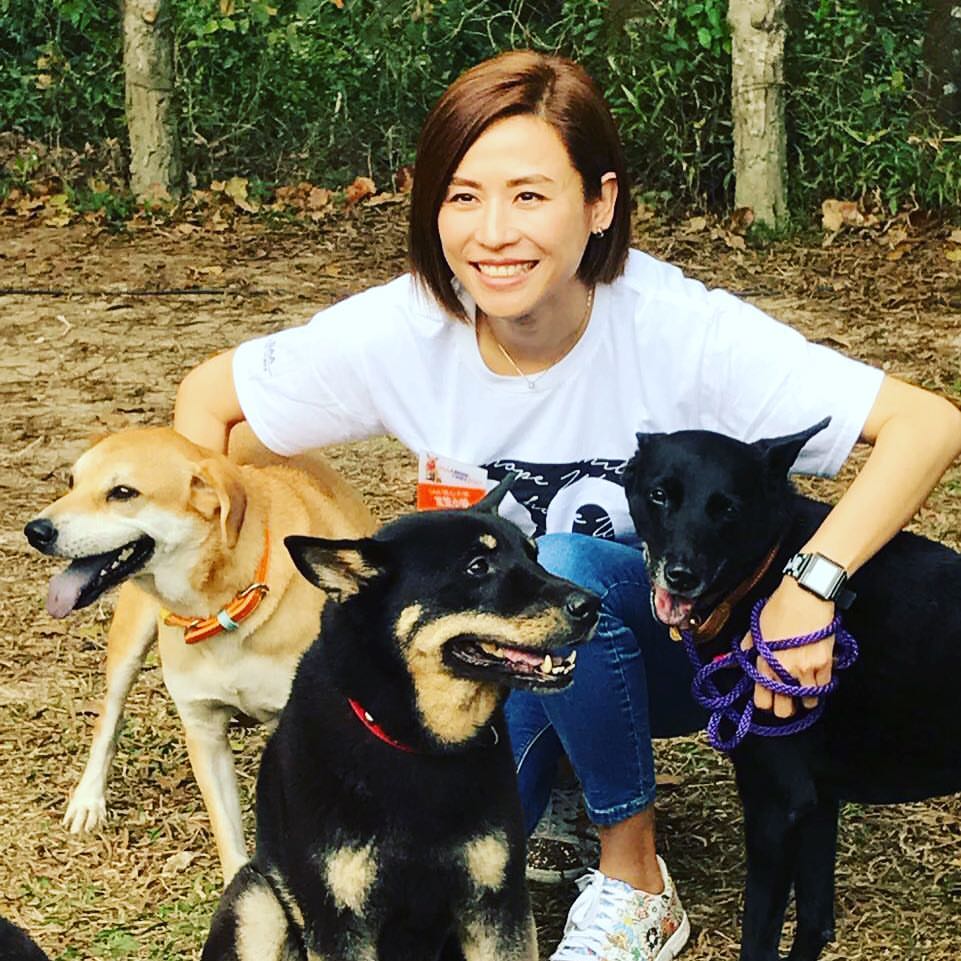 喜歡小動物愛心爆棚