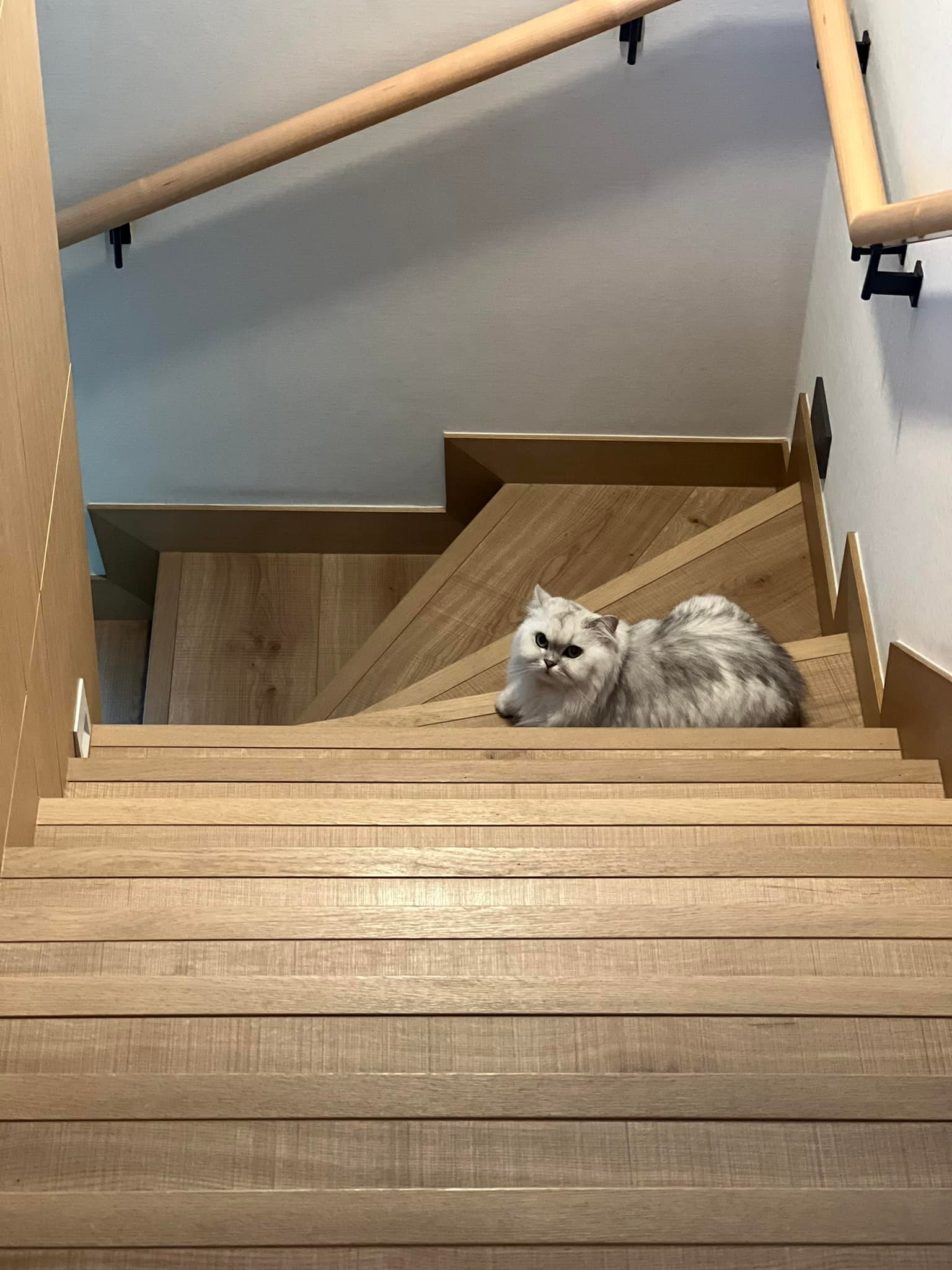 舒淇的豪宅是複式豪宅。