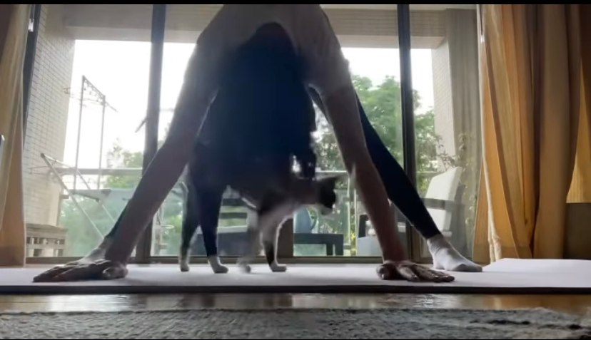 舒淇日前分享在家做瑜伽的影片。