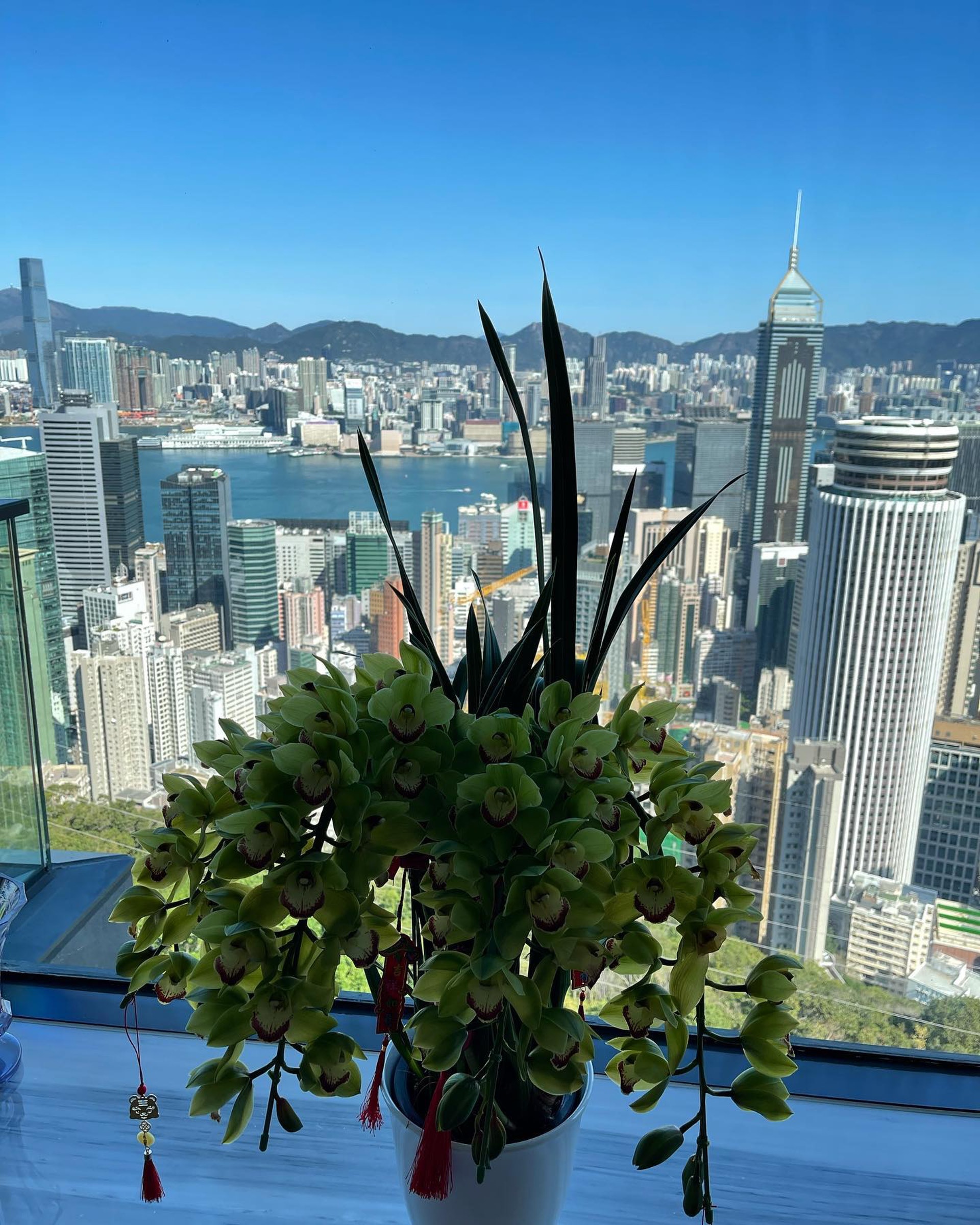 顧紀筠現時居住在位於半山區的新豪宅，可俯瞰維多利亞港全景。