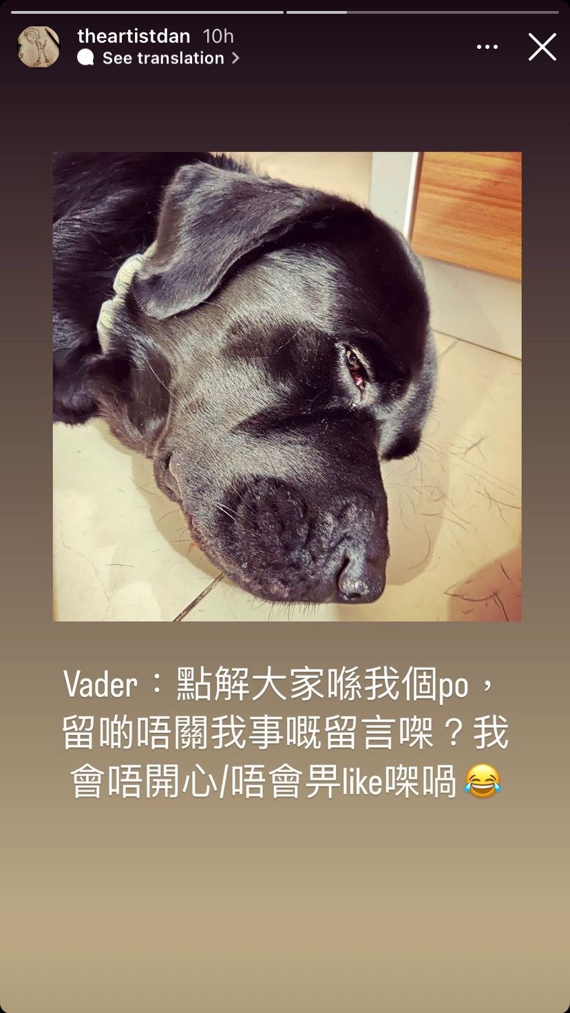 花姐老公再出story幽默表示其言論被過份解讀。