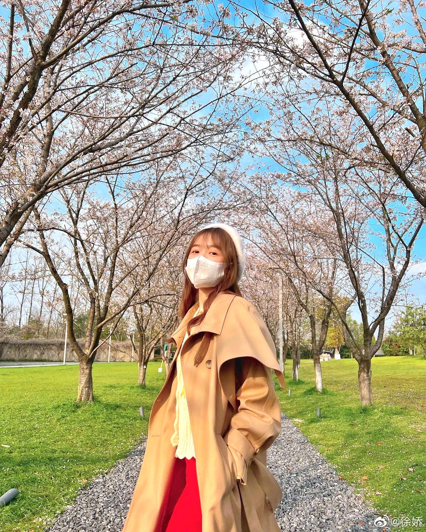 2013年宣布遠赴美國讀書,直到近年學成歸來