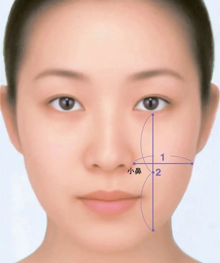 日本人則提出臉型長寬比例為2:1,即鼻翼至輪廓線為「1」,而黑瞳以下至輪廓線為「2」。