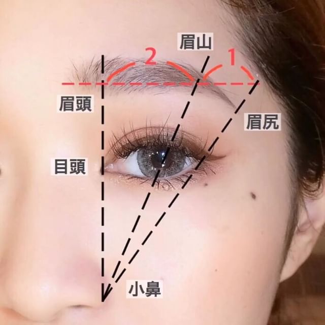 「眉頭至眉峰的長度」及「眉峰至眉尾的長度」比例為2:1。