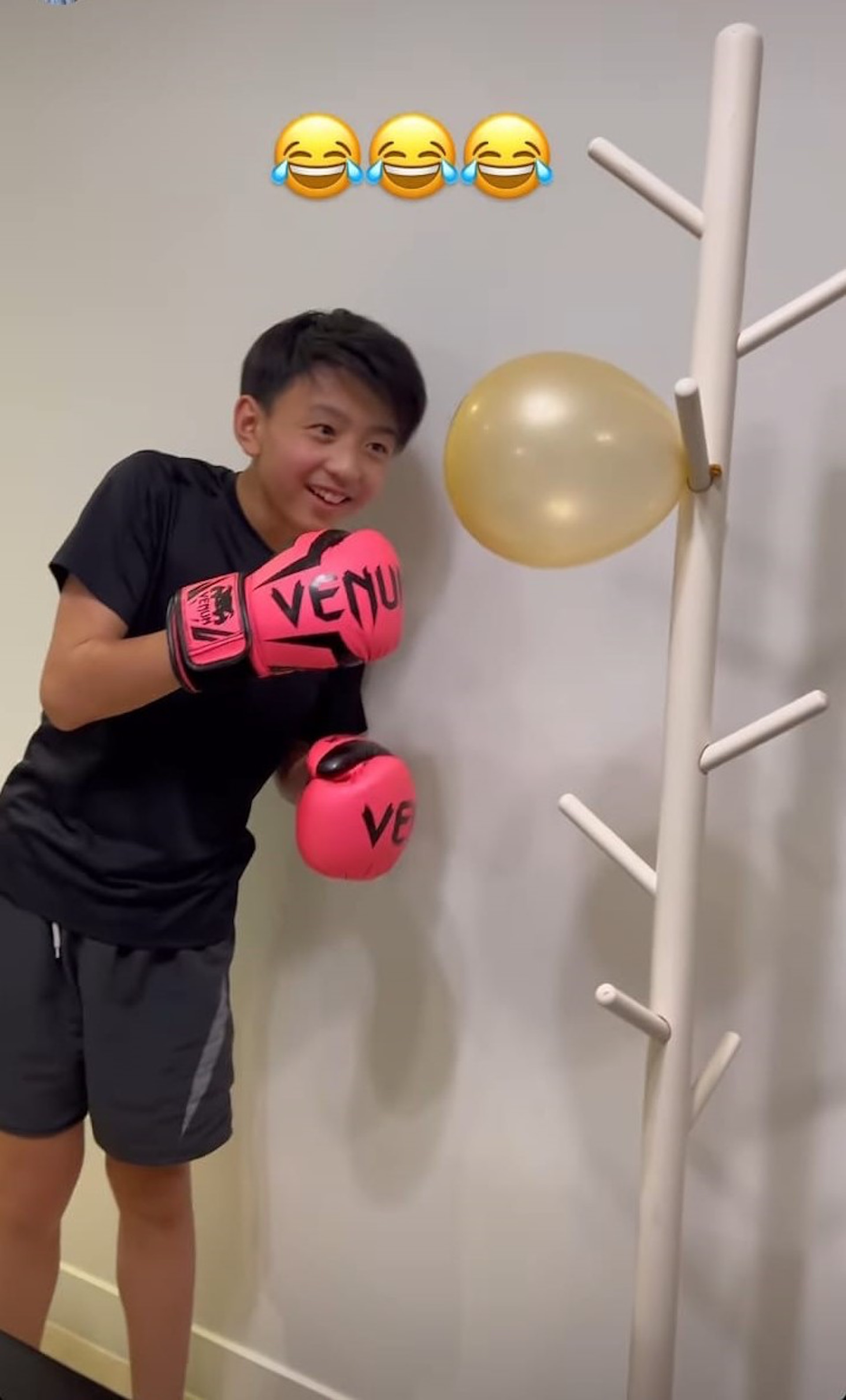 張柏芝向兒子解釋這個並非純粹是一個掛衫架,再掛上汽球,要Quintus出拳時要避開擺動中的掛衫架。