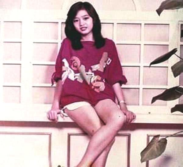 天王劉德華背後的女人