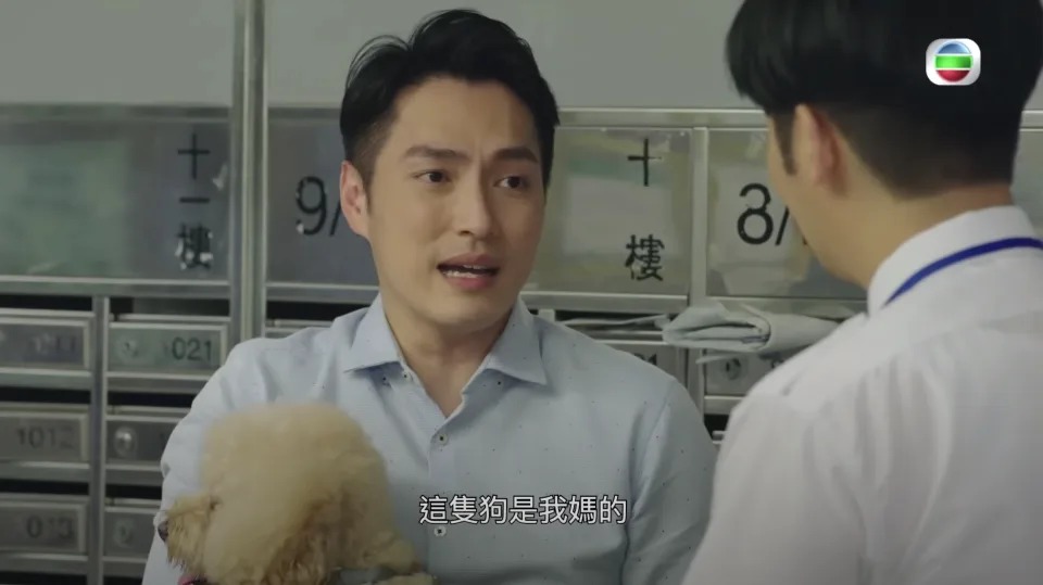 揭發了「要狗唔要媽」的真相。