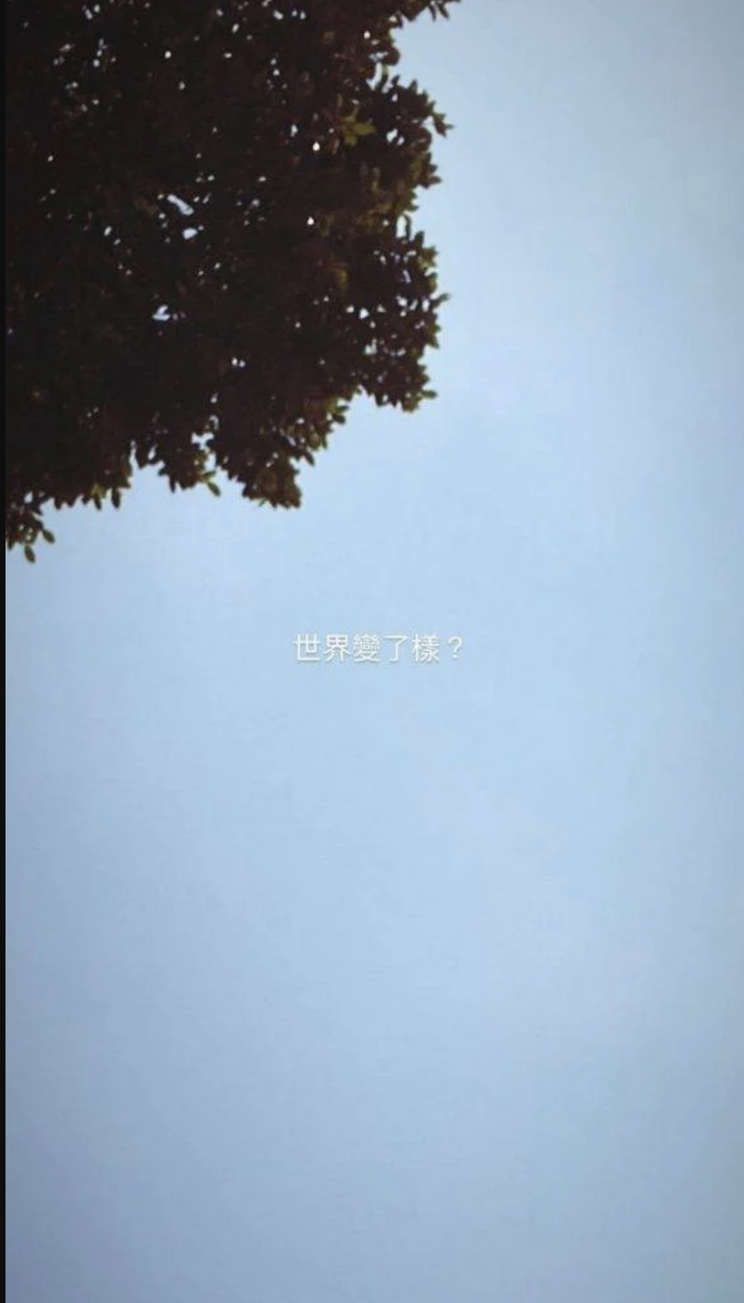 So Ching也在IG上問道「世界變了樣?」被網民狠批