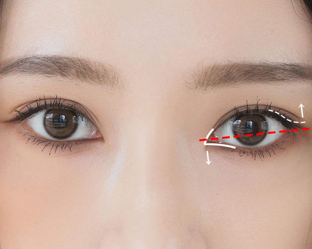 「平行眼線」調整眼型。