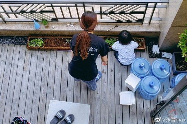 露台大到可以種菜。