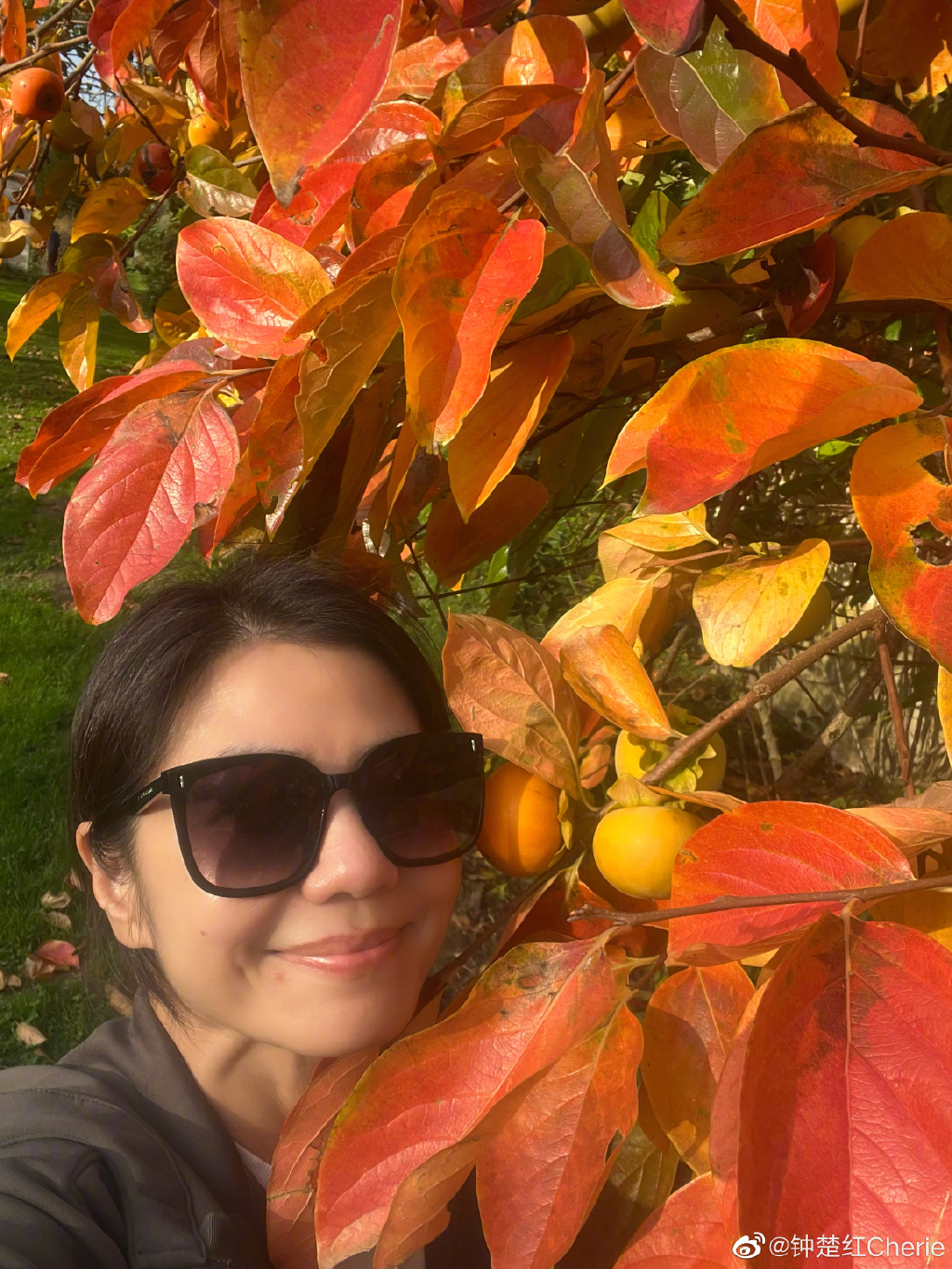 鍾楚紅近期就去法國旅行。