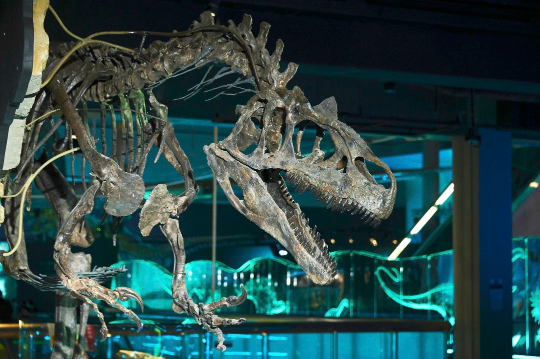 科學館恐龍展:八大.尋龍記