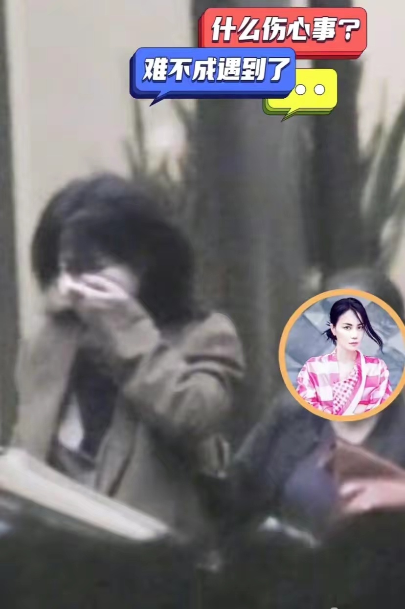 王菲疑似掩面痛哭衝出餐廳相掀熱議