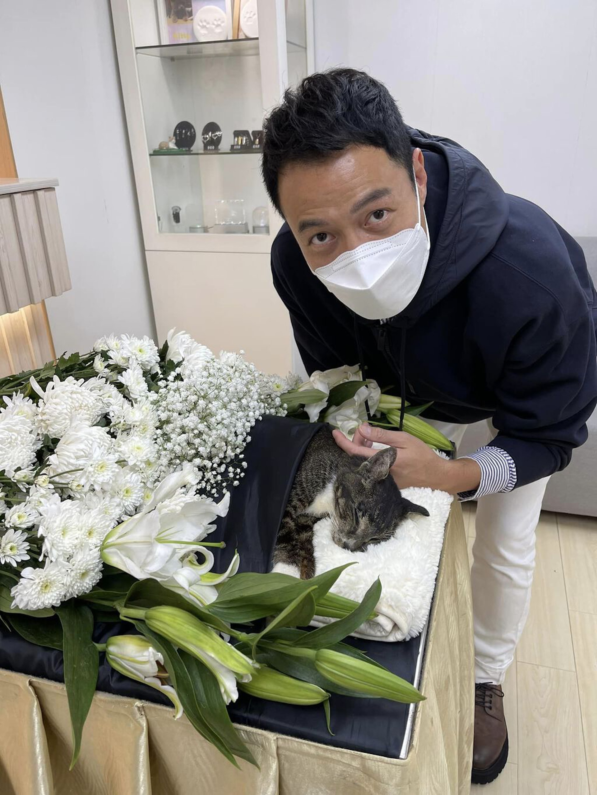 張達倫與黎芷珊拍拖時共同領養顏的愛貓。