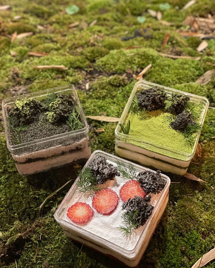 清水堂必點的食物非盒子蛋糕莫屬，分別有京都抹茶及黑芝麻口味，搭配上特殊的大自然造型，成為了這間咖啡店的獨特之處！