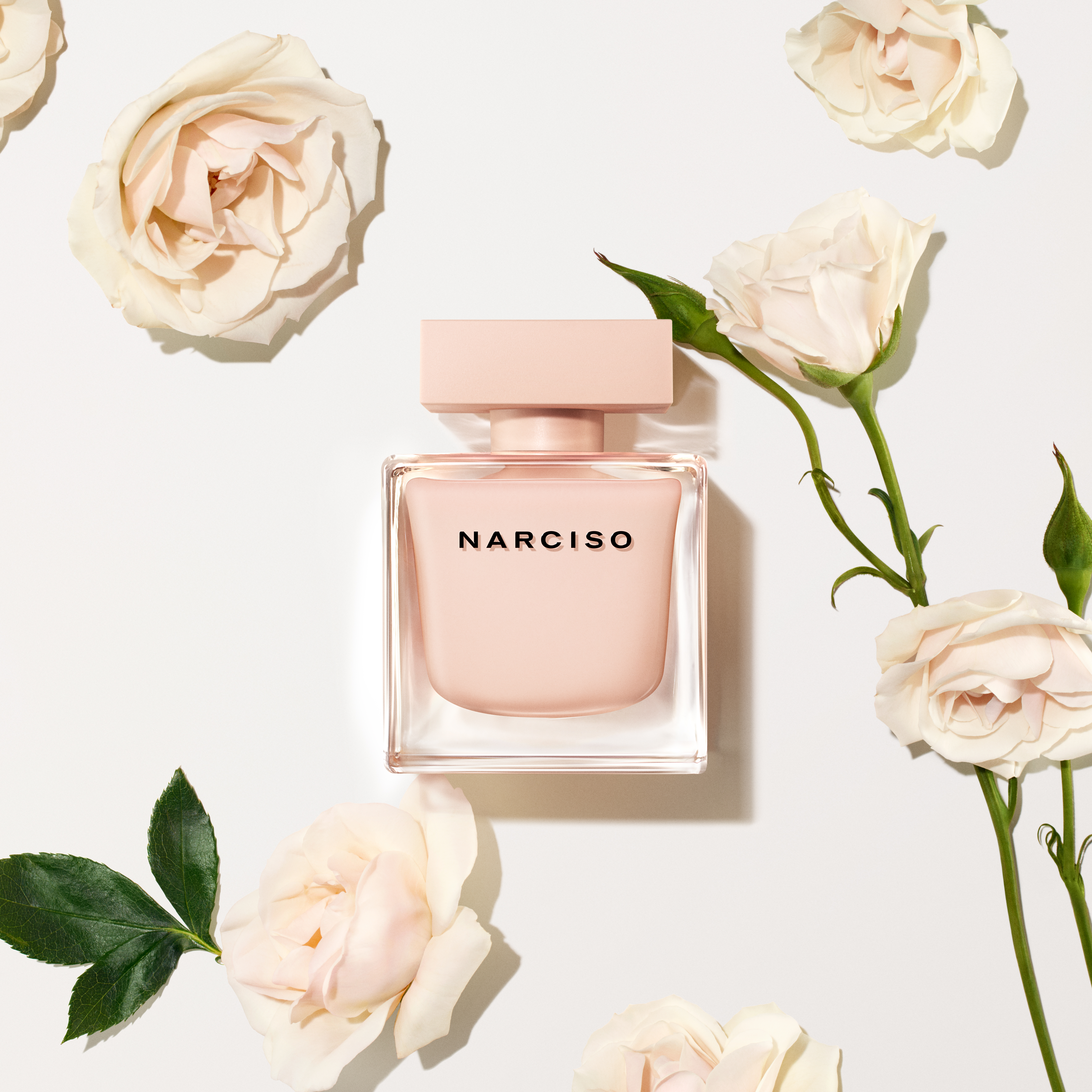 narciso rodriguez Parfums - NARCISO poudrée 淡香精