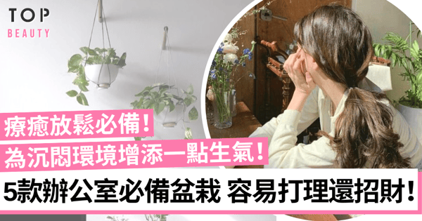 2022辦公室必備盆栽 助你放鬆療癒又容易打理 還是招財好幫手!