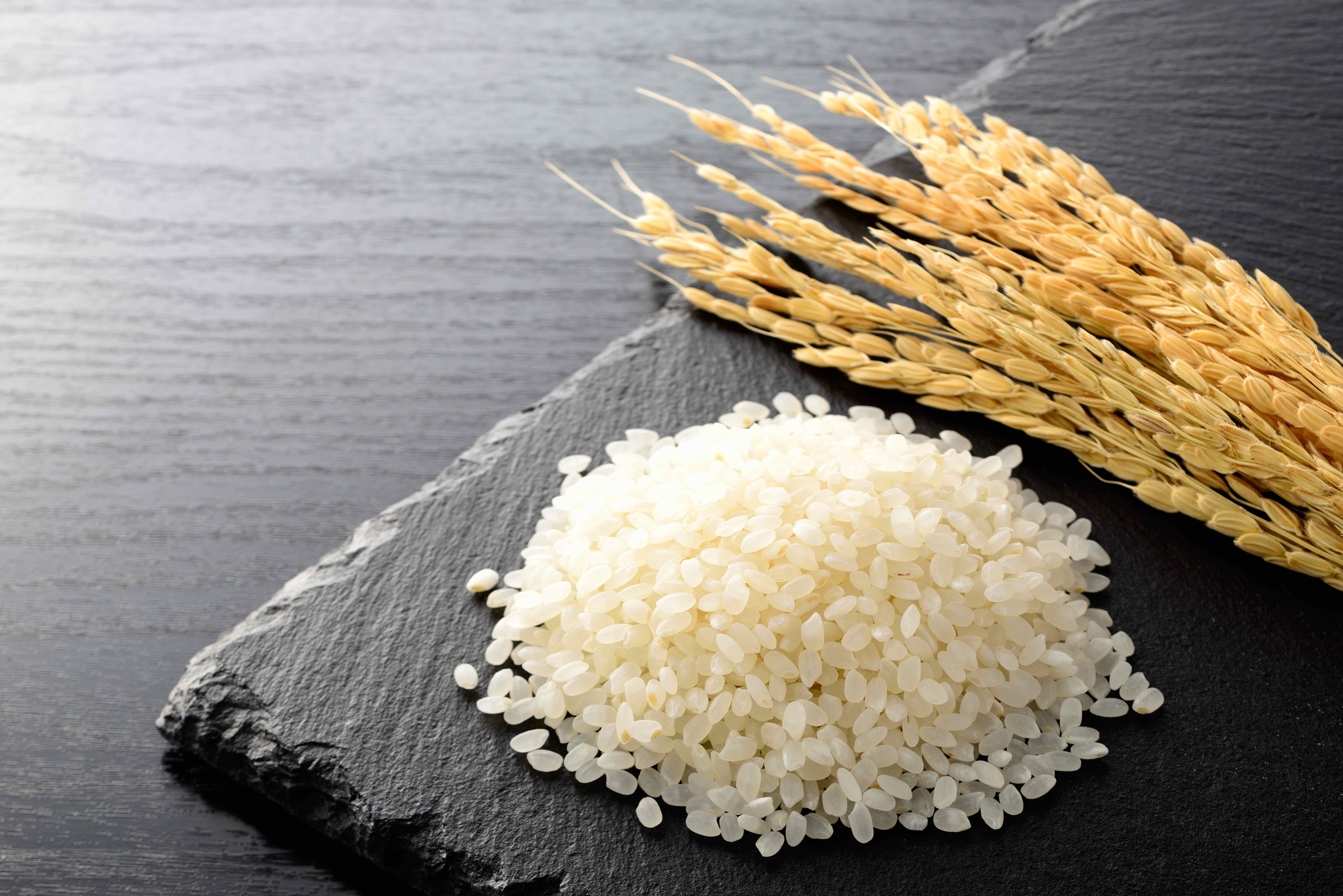 「純米瓶養髮系列」採用日本新瀉縣的越光米為核心成分，珍貴無比。