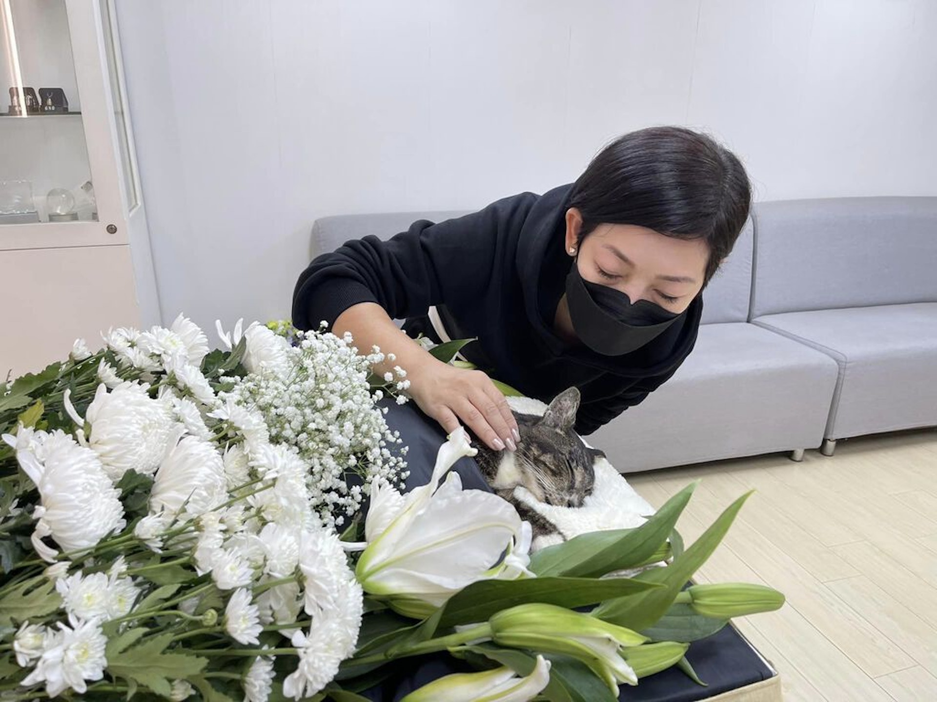 黎芷珊的愛貓喳喳已離世。