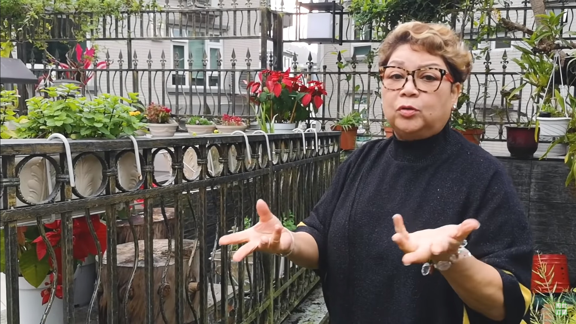肥媽(Maria Cordero)將於明年1月重返紅館