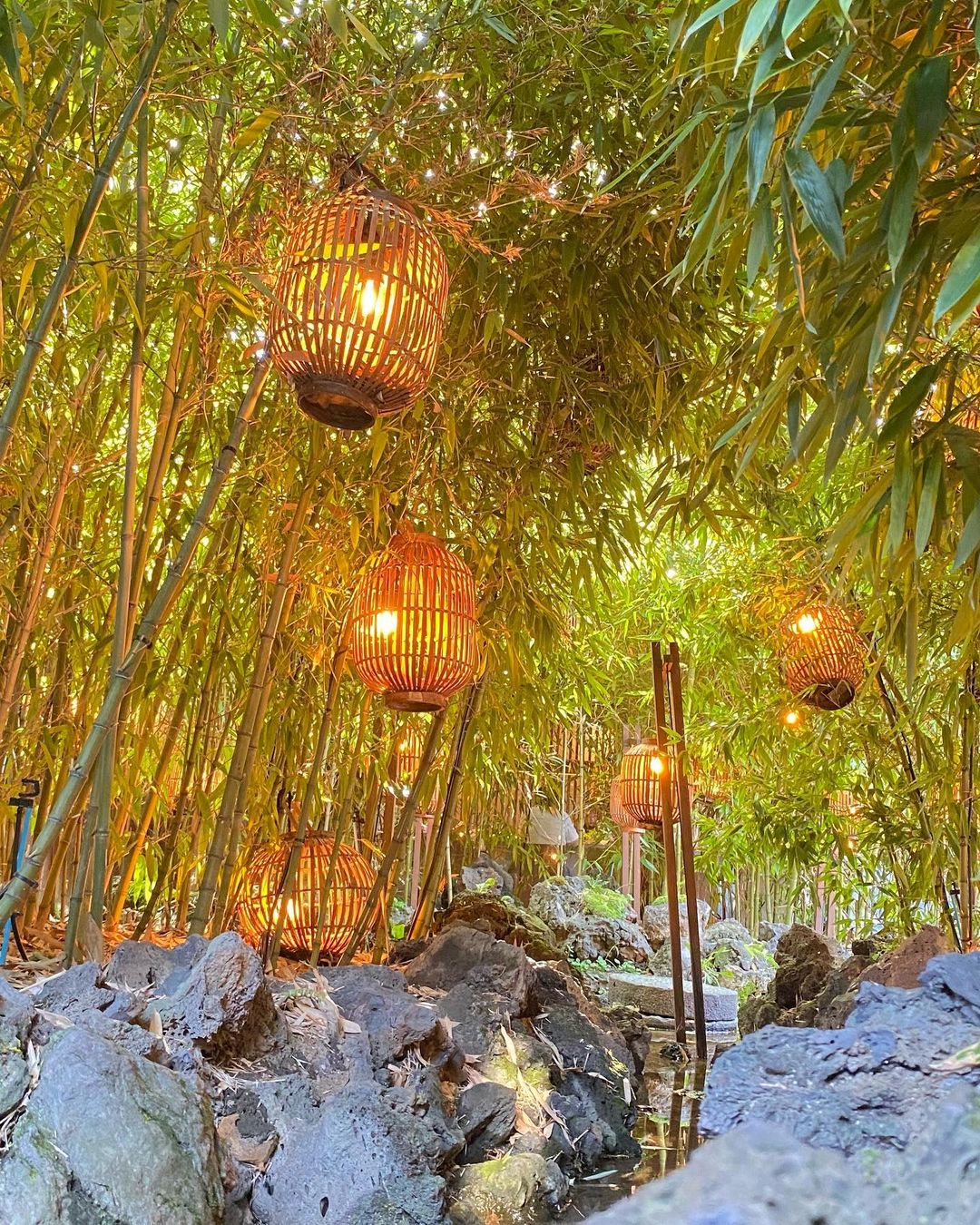 入口有一條小溪，道路兩旁種滿竹葉及獨特的燈籠點綴。