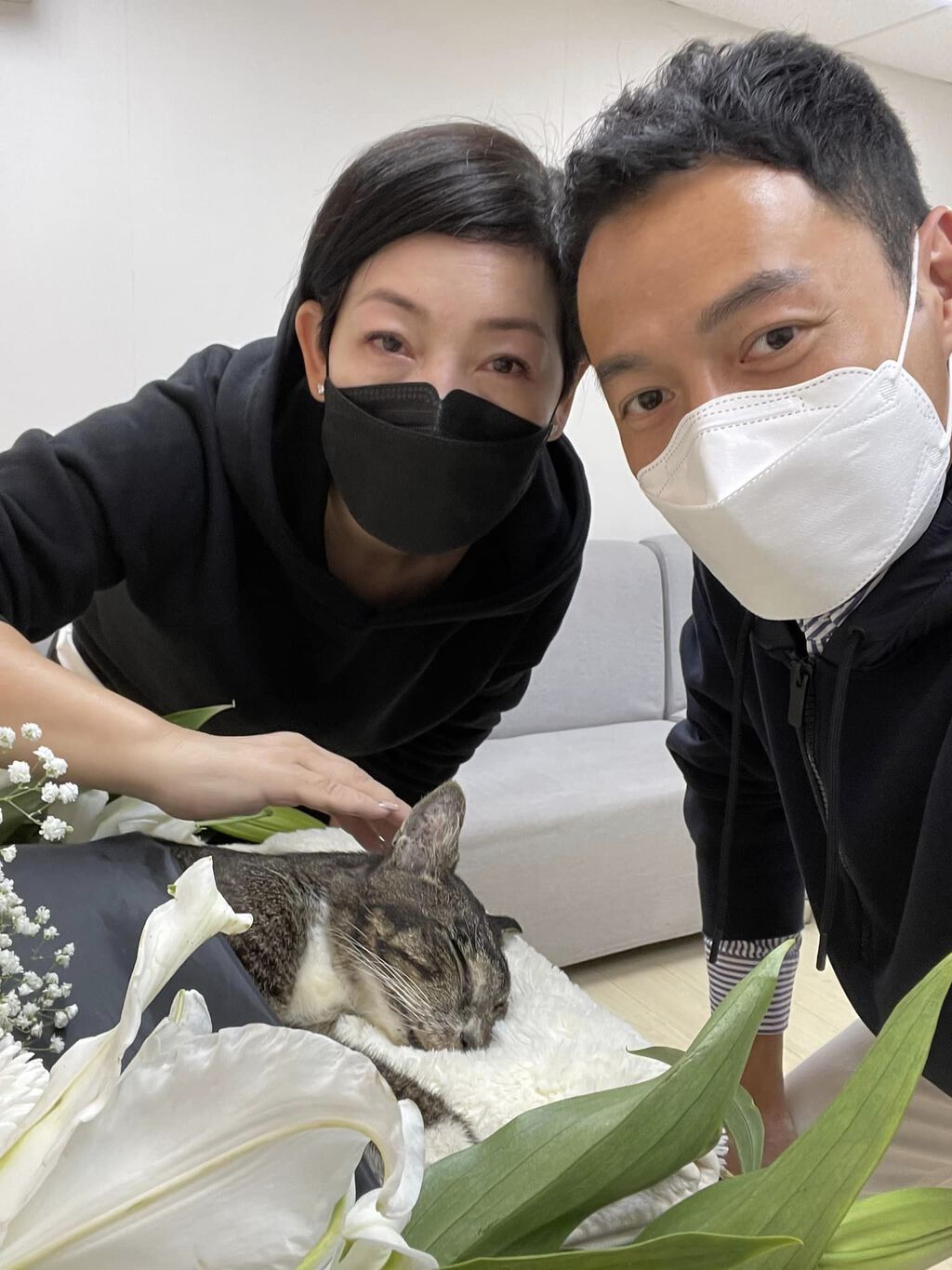 張達倫曾答應處理愛貓身後事。